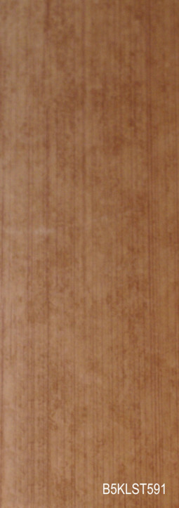 Galeria Imagenes Diluvid